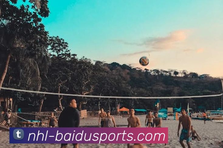 百度体育服务体系